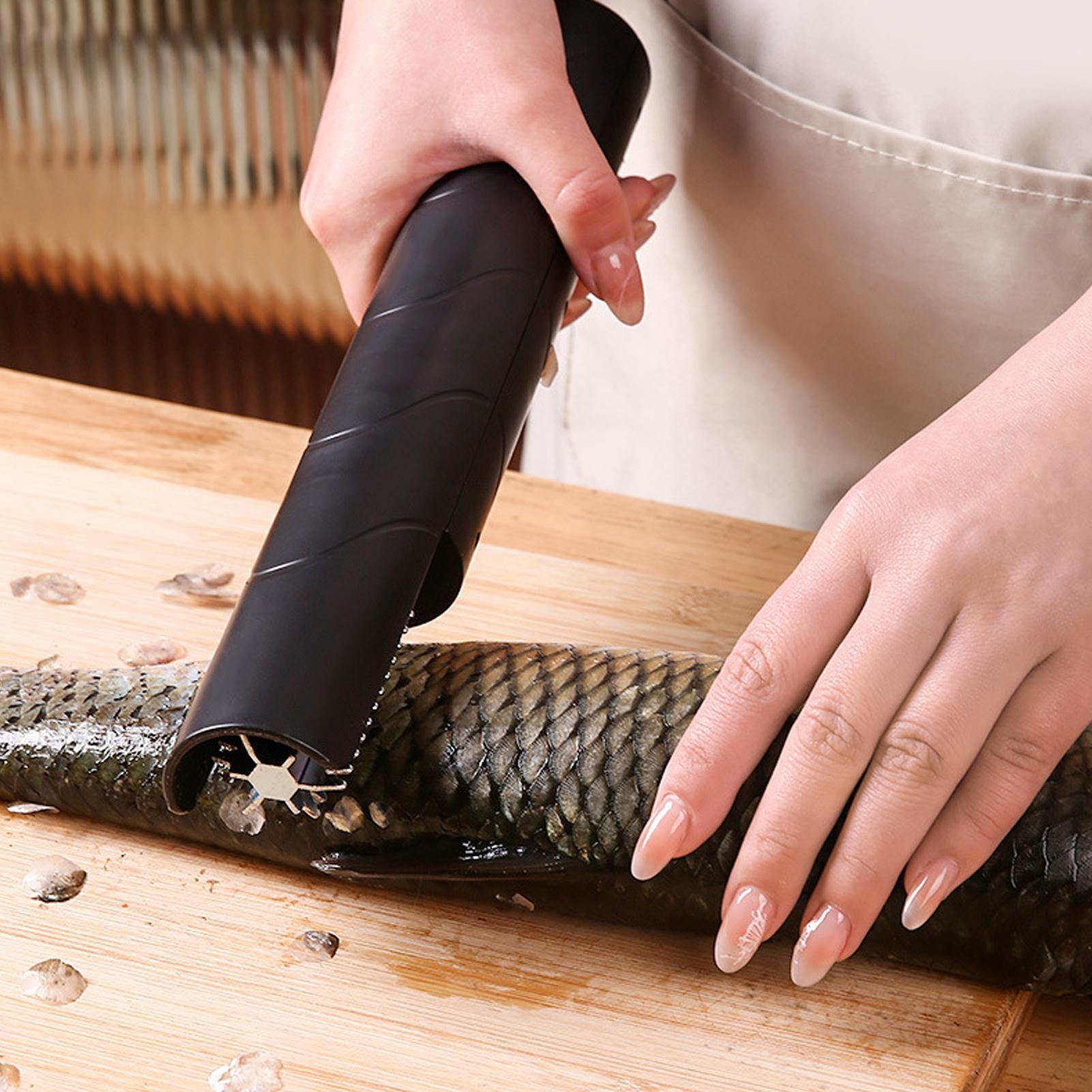 Fish Scaler Cordless Handheld  - đánh giá và giá Home Cooking Meal